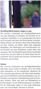 Faltblatt 'Die Breitflügelfledermaus' (Seite 5)